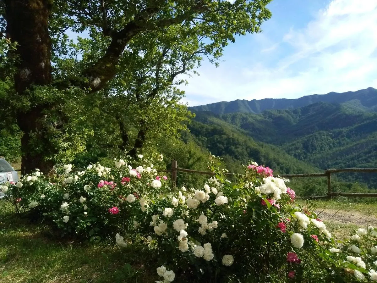 Ca' Scheta Guest House Palazzuolo Sul Senio 0*,  Italy