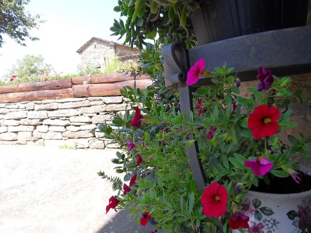 Casa di campagna Ca' Scheta Affittacamere Palazzuolo Sul Senio Italia
