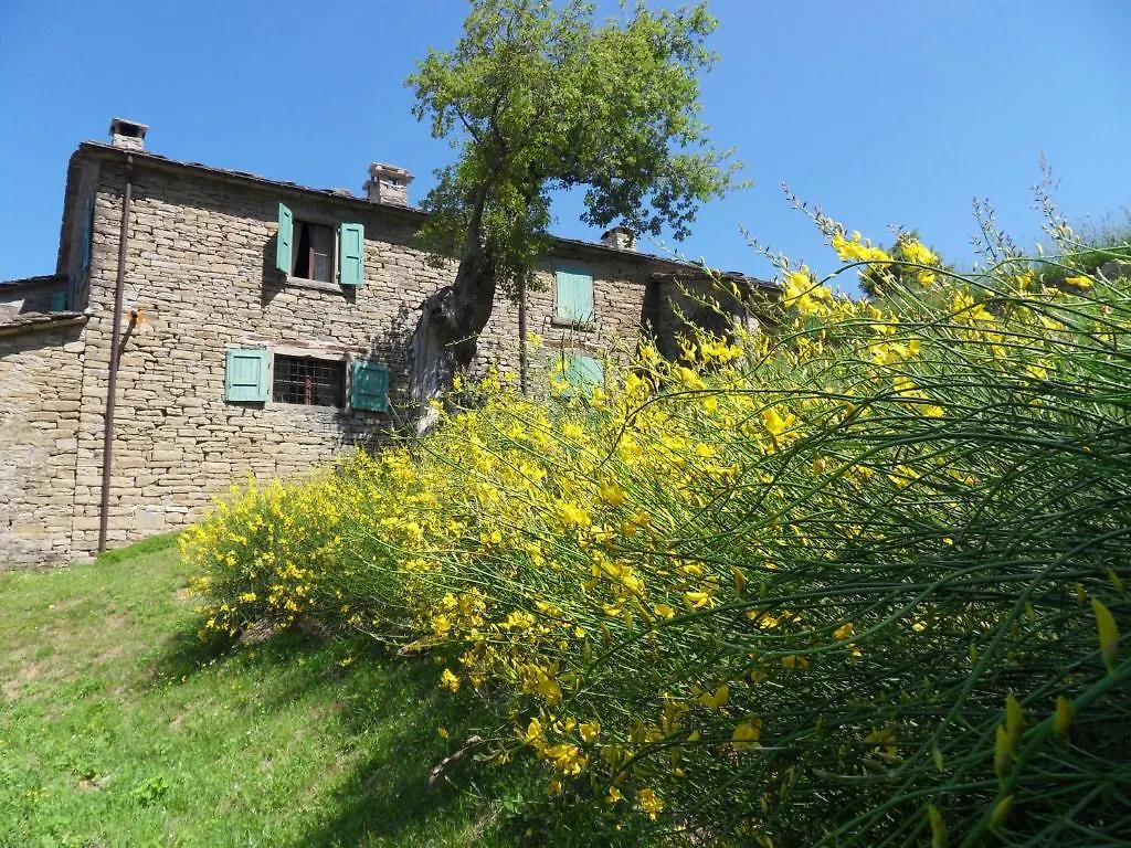 Ca' Scheta Guest House Palazzuolo Sul Senio 0*,